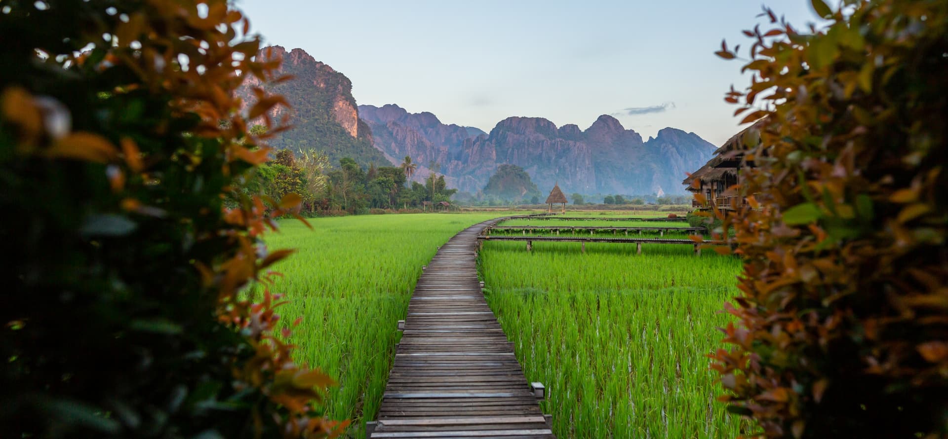 We Identified 'Patient Zero'—Laurent Granier's Account, Director of Laos Travel Mood