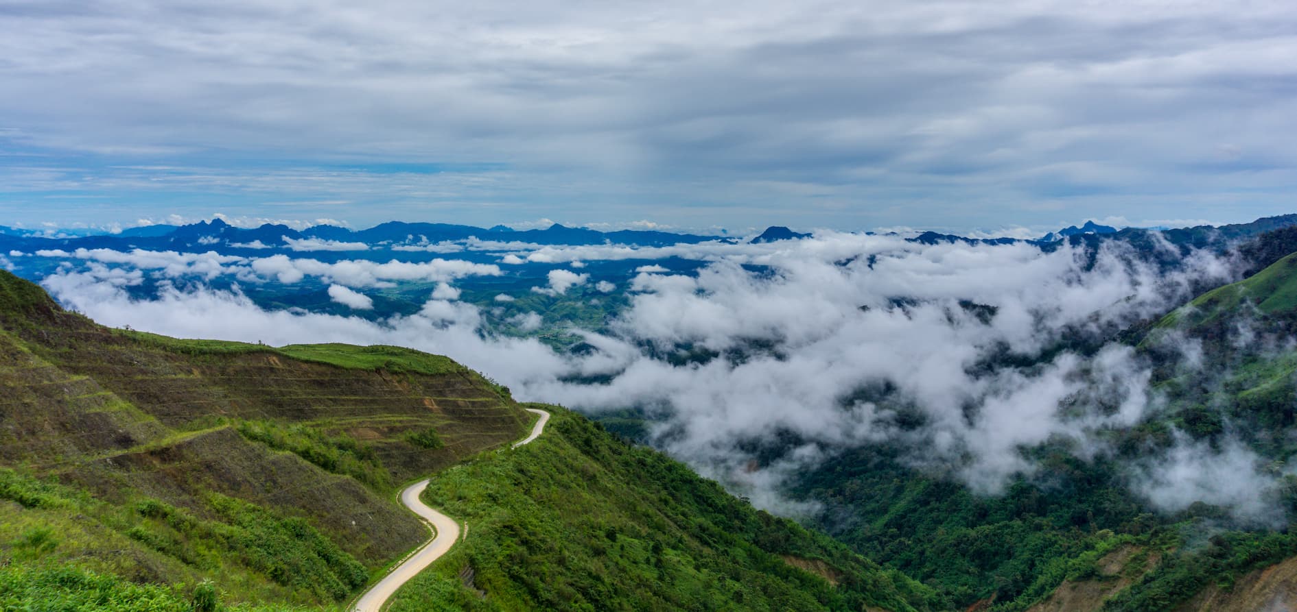 Laos, Land of 24 New Natural Species