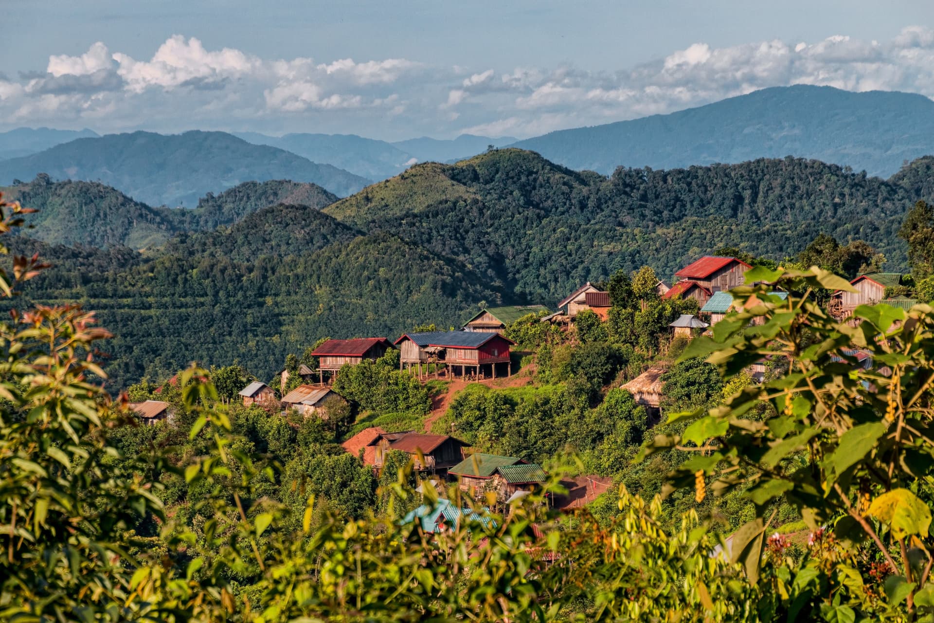 Trekking in Nam Ha National Park