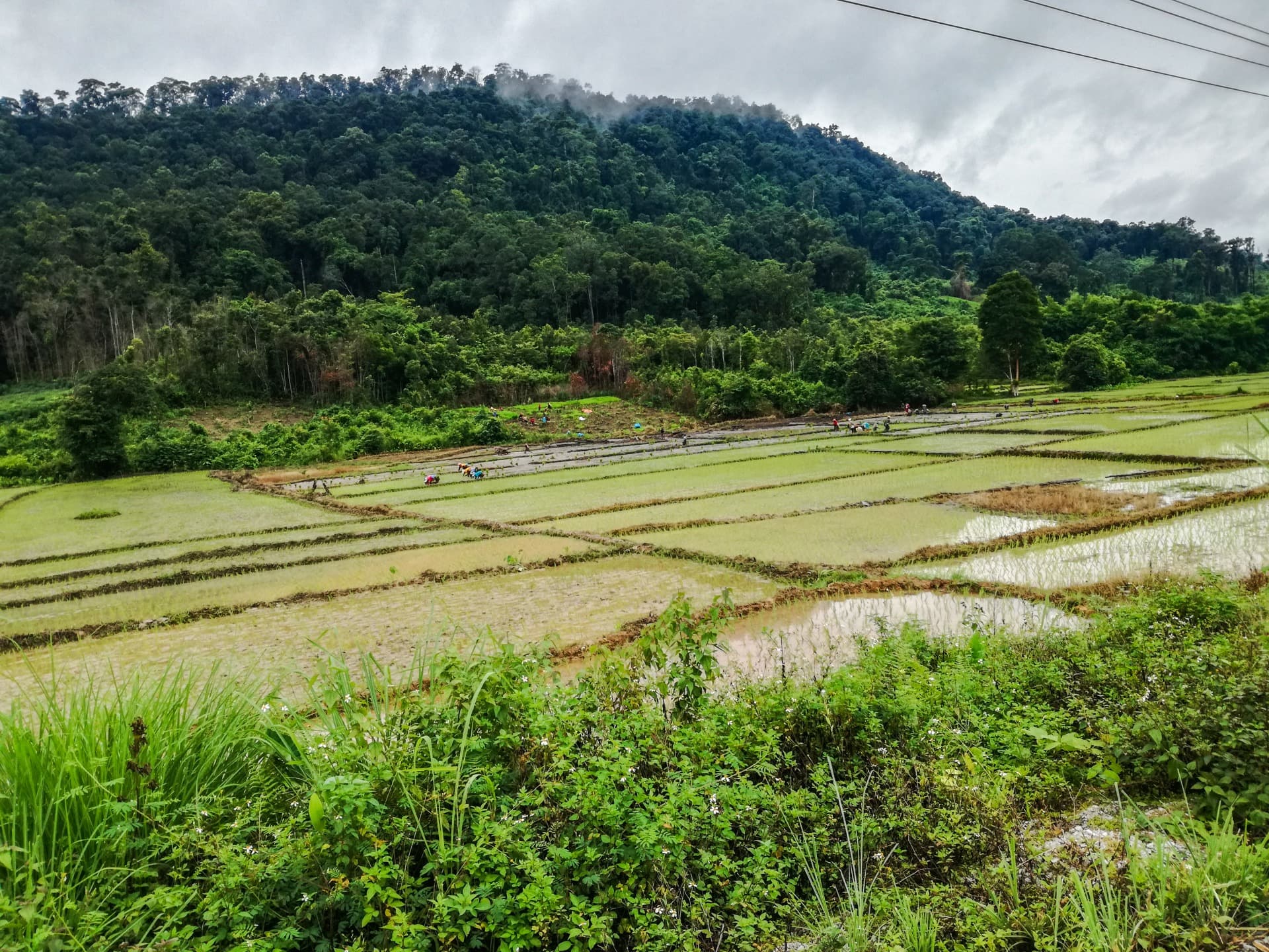 lak sao 2