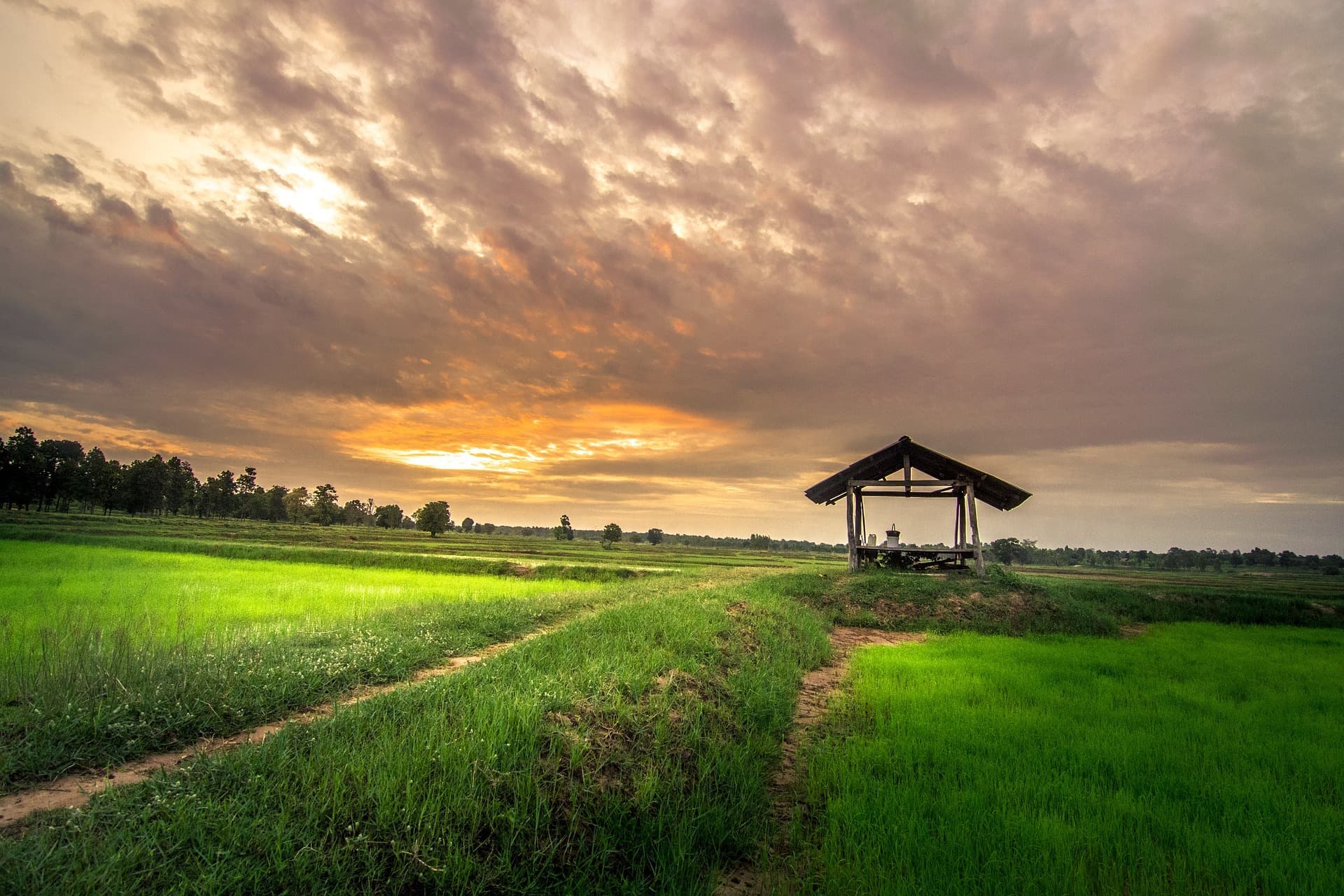 Ambassador Seeks to Strengthen Laos's Sustainable Development Through Cooperation